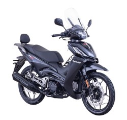 CUB GEMINI ARK 125X